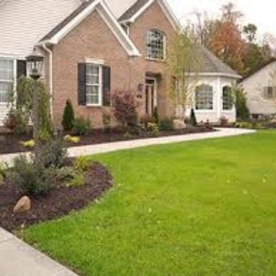 Super edged or trimmed where grass meets another surface.
