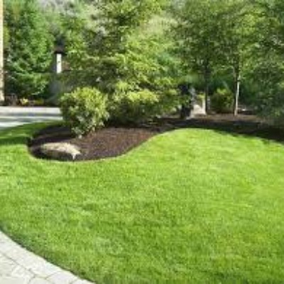 Super mulch installation helps control weeds. We install mulch and pine straw.